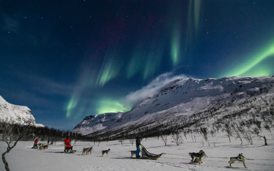 Dog Sledding and Northern Ligths