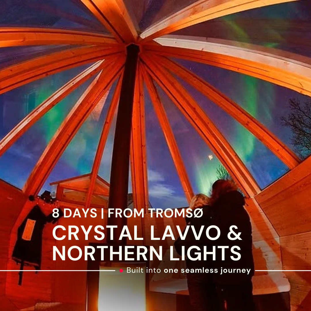 Tromsø Northern lights