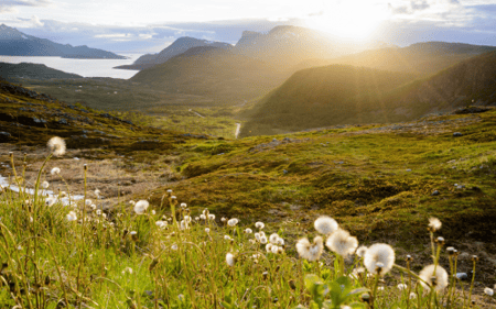 Tromsø (1)