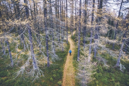 auttiköngäs_trail