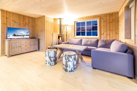 modern_day_cabin