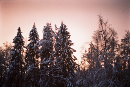winter_sweden
