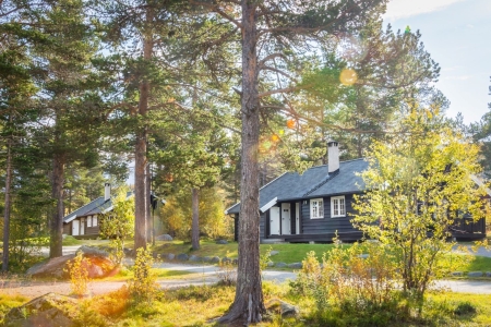 Experience Cabins in Norway During the Summer