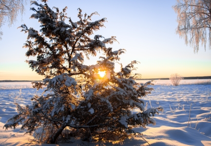 Experience a Wintertime Wonderland in Swedish Lapland